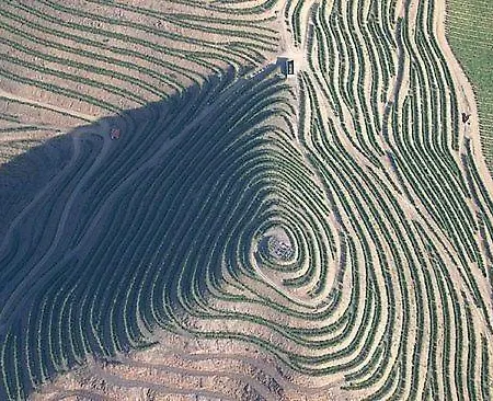 Casa Do Brasao Affittacamere 3*