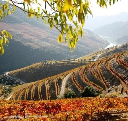 Πανσιόν Casa Do Brasao 3*