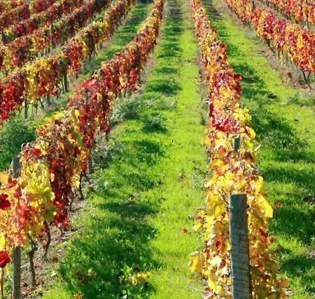 Πανσιόν Casa Do Brasao