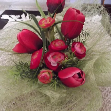 Casa Do Brasao Affittacamere