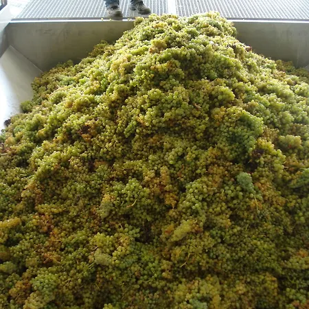 Πανσιόν Casa Do Brasao Tabuaço