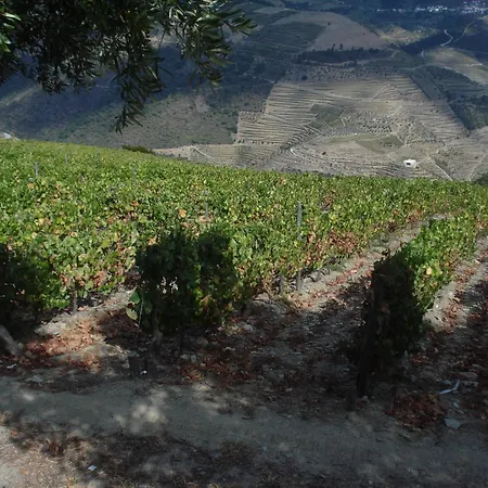 Πανσιόν Casa Do Brasao