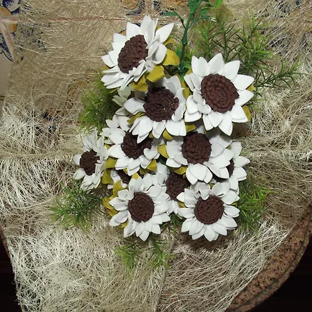 Casa Do Brasao Πανσιόν