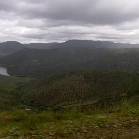 Casa Do Brasao 3* Tabuaço