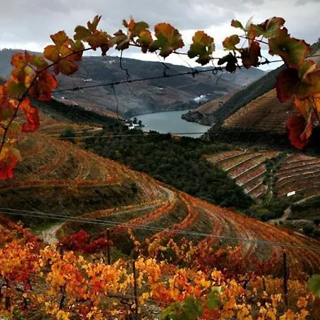 Casa Do Brasao Πανσιόν Tabuaço