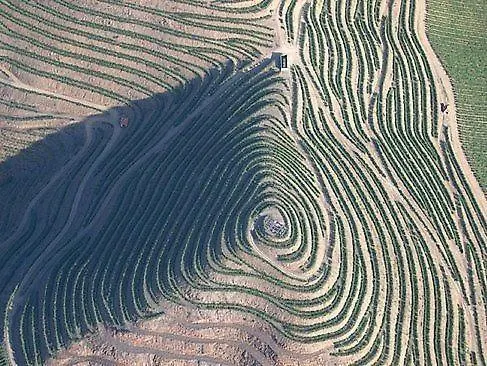 Casa Do Brasao Vendégház 3*