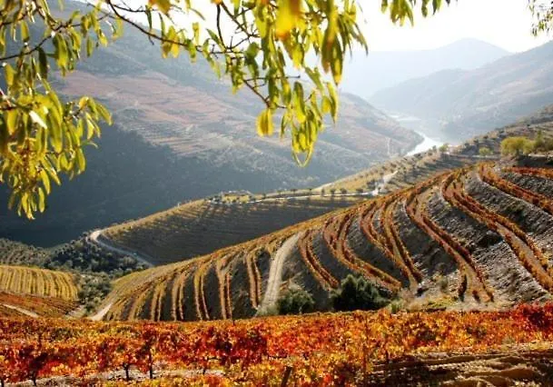 Vendégház Casa Do Brasao 3*