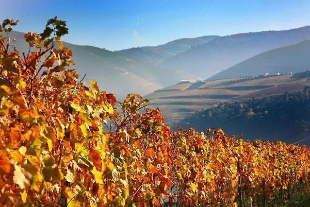 Casa Do Brasao Vendégház Tabuaço