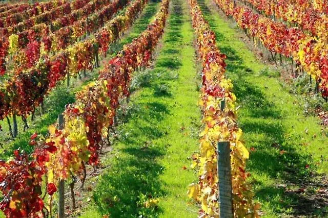 Vendégház Casa Do Brasao