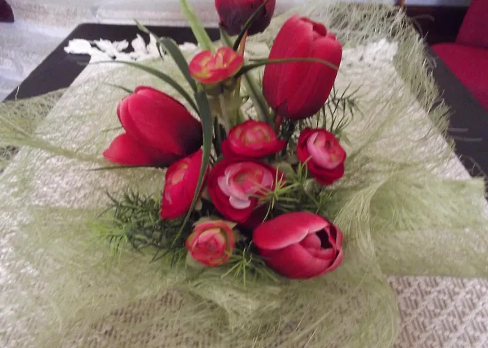 Casa Do Brasao Vendégház