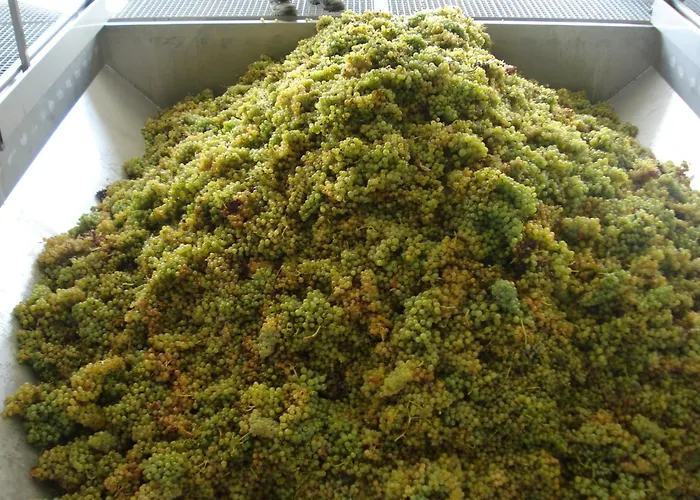 Vendégház Casa Do Brasao Tabuaço