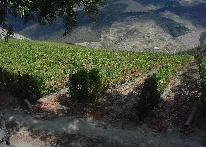 Pensionat Casa Do Brasao