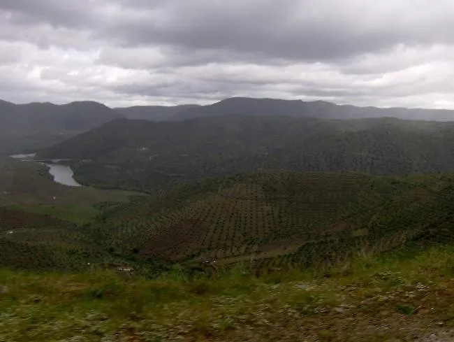 Casa Do Brasao 3* Tabuaço