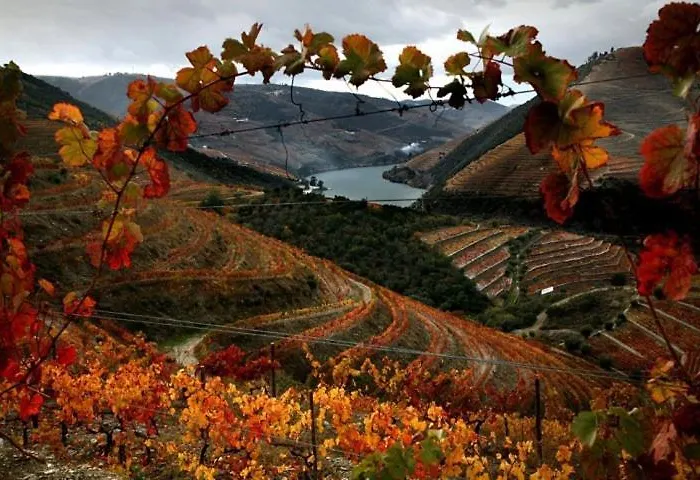 Casa Do Brasao Vendégház Tabuaço