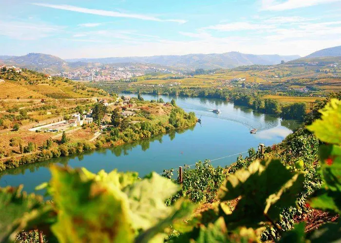 Pensionat Casa Do Brasao Tabuaço