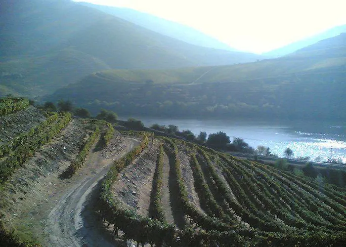 Casa Do Brasao 3* Tabuaço